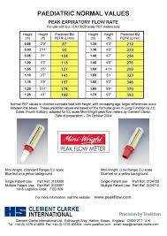 Peak Flow Meter Range Chart Www Bedowntowndaytona Com