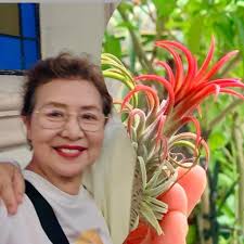 How often should we water our air plants?