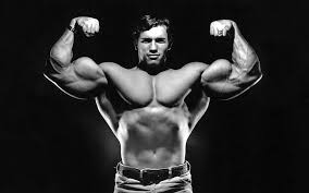 Check spelling or type a new query. Hd Wallpaper Arnold Schwarzenegger Celebrity Men Wallpaper Flare