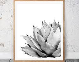 Black And White Cactus Print Black And White Cactus Prints Set Of 3 Prints Cacti Succulent Print Botanical Photo Cactus Print Wall Art Cactus Scandi Australia Cactus Wall Art Succulents Prints Etsy Wall Art