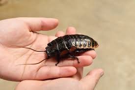 あだち観光ネット