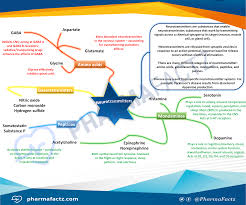 Major Neurotransmitters Mindmap Pharmacology Nursing Pharmacology Nurse Anesthesia