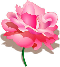 Sap fiori png images, sap crm, fiori, patrick fiori, sap ariba, sap netweaver business the pnghost database contains over 22 million free to download transparent png images. Index Of Images Disegni Disegni Di Fiori