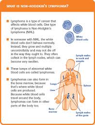 Pin On Cancer Immunology