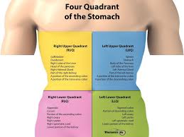 9 Tips For Performing A Nursing Health Assessment On The Gastrointestinal System Health Assessment Nursing Nursing Notes Gastrointestinal System