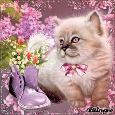 Entweder es fällt einem selber ein lustiger spruch oder wunsch ein, oder man. Mai Katzchen May Kitten Susse Tiere Bilder Katzen Illustration Katze