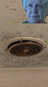 Remember to run your exhaust fan after every shower 🛁 or you could  possibly end up with mold! 😱, ., ., ., #FunnyFriday #shorts #reels #funny  #comedy #meme #Restoration1 #Restoration1Irvine #Irvine ...