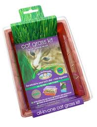 Our instructions are detailed and easy to follow. Cat Grass Seed Raiser Seed Raiser Kits Seeds Bulbs Australia