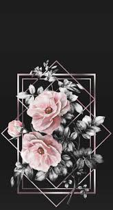 Over 127x pleasant floral wallpaper aesthetic in our photo gallery. Aesthetic Floral Wallpapers Top Free Aesthetic Floral Backgrounds Wallpaperaccess