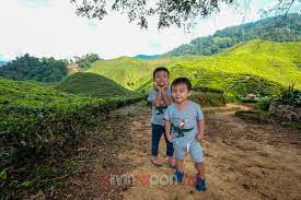 Firstly, the weather at cameron highlands is awesome, in terms of temperature. 2018 Mid Year Holiday Day 1 Cameron Highland Kevin Woon Blog