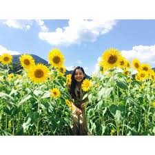 明日も笑顔で頑張ろう そして 早くあったかくなってー 皆様ありがとうの言葉を沢山ありがとう 2年前の写真 ひまわり綺麗だったなぁ flowers plants asian beauty