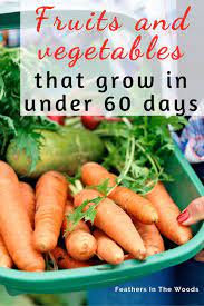Us$14.9 billion (12.7% of fruits exports) 2. Vegetables That Grow In Under 60 Days Feathers In The Woods