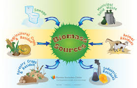 Biomass Sources Plant Materials And Animal Waste Used As Fuel Wood Charcoal Animal Waste Biomass Energy Energy Projects Geothermal Energy