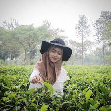 We did not find results for: 4 Wisata Kebun Teh Di Jawa Timur Lokasi Nyaman Untuk Berlibur