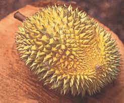 Maybe you would like to learn more about one of these? From The Spiky To The Scaly 5 Tropical Fruits In Malaysia You Should Try Expatgo