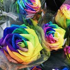 Due to the pandemic, most flower shops in our list have implemented service restrictions to comply with government orders. Weng Hoa Flower Boutique Chinatown 4 Tips From 210 Visitors
