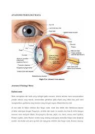 Maybe you would like to learn more about one of these? Doc Anatomi Fisiologi Mata Aris Liska Septiana Academia Edu