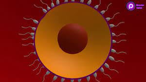 Boruto: Naruto Next Generations Haruno Sakura 1boy Animated - Lewd.ninja