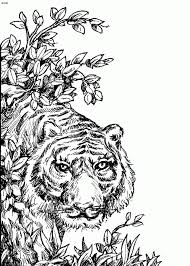 Pin On Coloring Pages For Adults