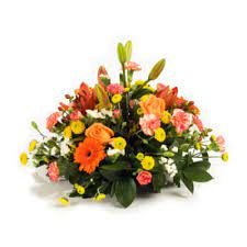 Visit your local eugene petsmart store for essential pet supplies like food, treats and more from top brands. Table Posy Hazels