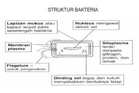 Posted by guru sains at 9:17 pm. Sains Spm Tingkatan 5 For Android Apk Download