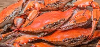 Landmarksgreatdeals Com Lgd Deal 25 Worth Of Seafood More At Fenwick Crabhouse Dungeness Crab Legs Crab Dungeness Crab