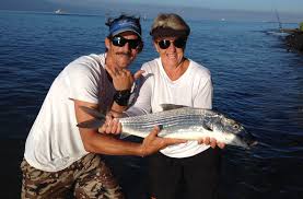 Take in a gorgeous maui sunset or watch whales . Maui Shore Fishing Guides Maui Fishing Tours Maui Activities Where To Fish On Maui Fishing On Maui Charter Fishing Maui Fishing On Maui