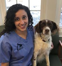 Our goal is to provide outstanding medical and surgical care while. Our Team Lyndon Veterinary Clinic Fayetteville Ny