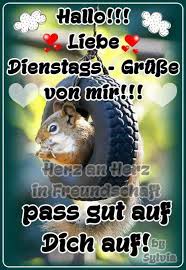Experte sagt, sie ist „die disruptivste aktie der welt! Pin Von Heike Wahrn Auf Dienstag Guten Morgen Dienstag Bilder Guten Morgen Dienstag Dienstag Grusse