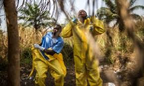 We did not find results for: Latest Ebola Data Rule Out Rapid Mutation Nature