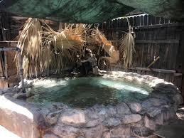 Maybe you would like to learn more about one of these? El Dorado Hot Springs Tonopah 2021 All You Need To Know Before You Go Tours Tickets With Photos Tripadvisor