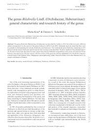 Image result for Habenaria huillensis