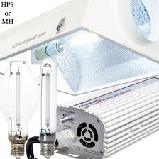 Vivosun is a leading american hydroponic store that has been supplying equipment for more than a decade now. 1000w Grow Lights For Sale Planet Natural