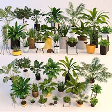 Plants 3d Model Plants Plant Texture Plant Decor