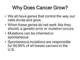 It may be because the pill decreases the number of ovulations. What Is Cancer What Is Breast Cancer Every Day Cells In Your Body Divide Grow And Die Most Of The Time Cells Divide And Grow In An Orderly Manner Ppt Download