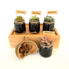 Succulents make a great addition to any home or garden, and they're valued for their low maintenance style. Mini Succulent In Glass Jar Bombonieres Favors