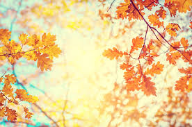 Autumn has a great style and knows how to make. 10 Ways To Make The Best Of Autumn Breathe