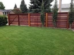 Augustine and empire zoysia grass both need 2 or 3 waterings per week during the summer and 1 or 2 waterings the rest of the year in you will want to wait 30 days after installing your new sod to apply fertilizer, to give it time to take root and acclimate to your yard. New Sod Care Chinook Landscaping Calgary