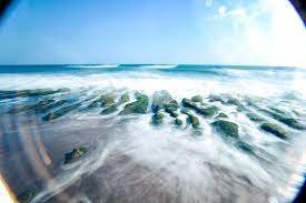 季節限定 石門老梅綠石槽 tripmoment 時刻旅行 trip travel outdoor