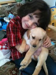 How to make a dog with a lung mass more comfortable and possibly shrink the  mass?