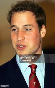 734 Vice Royal Patron Stock Photos, High-Res Pictures, and Images