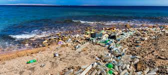Image result for plastic pollution