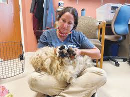 Top of page add new shelter or rescue group. Https Www Dailypress Net News Local News 2020 08 134 Dogs Rescued From Puppy Mill