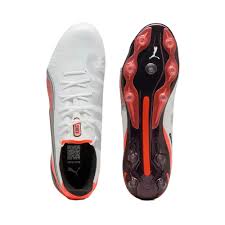 Image result for Puma 20