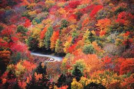Fall colors