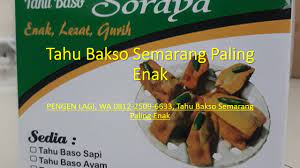 Pengen Lagi Wa 0812 2509 6633 Tahu Bakso Semarang Paling Enak Tahu Daging Sapi Sapi