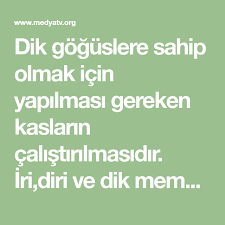 Dik Memelere Nasil Sahip Olunur Bunlari Uygulayin Kas Gogus Sutyen
