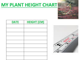 Plant Height Chart Table By Phileusfogg180 Teaching