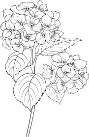 Pohozhee Izobrazhenie Vyshivka Gladyu Pinterest Flowers 520x800 Jpeg Flower Line Drawings Flower Drawing Flower Sketches