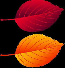 2024 City of Martensville Fall Program Guide by Martensville Messenger